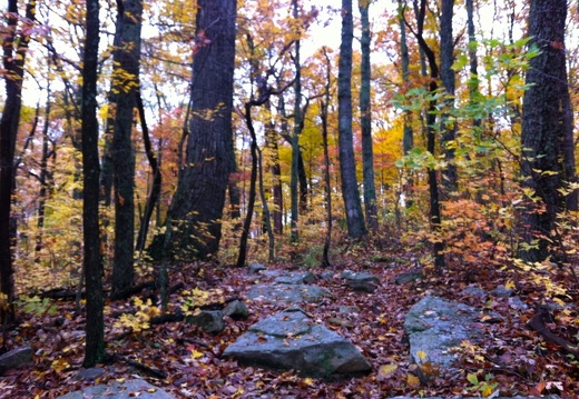 Sheltowee Trace, Clear Creek Furnace - 15